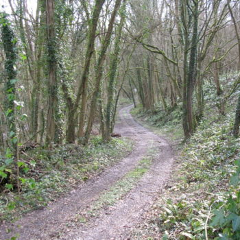 track from main road up to canal