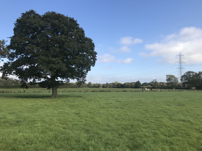 Land formerly part of Middle Ton, Llanvapley, Abergavenny, NP7 8SN
