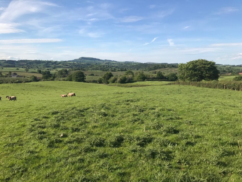 The Camp, Llantilio Crossenny, Abergavenny, Monmouthshire, NP7 8TN