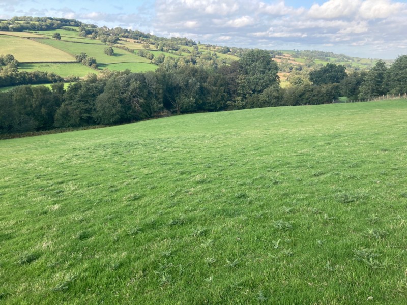 Land at Little Goytre Farm, Pandy , Abergavenny, NP7 8EB Williams