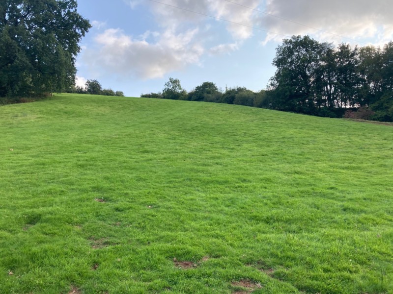 Land at Little Goytre Farm, Pandy , Abergavenny, NP7 8EB Williams