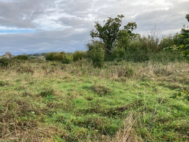 Development Land at Grosmont, Abergavenny Williams Associates