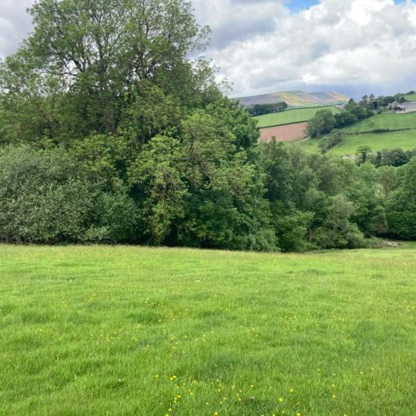 Land at Little Goytre Farm, Pandy, Abergavenny, NP7 8EB Williams