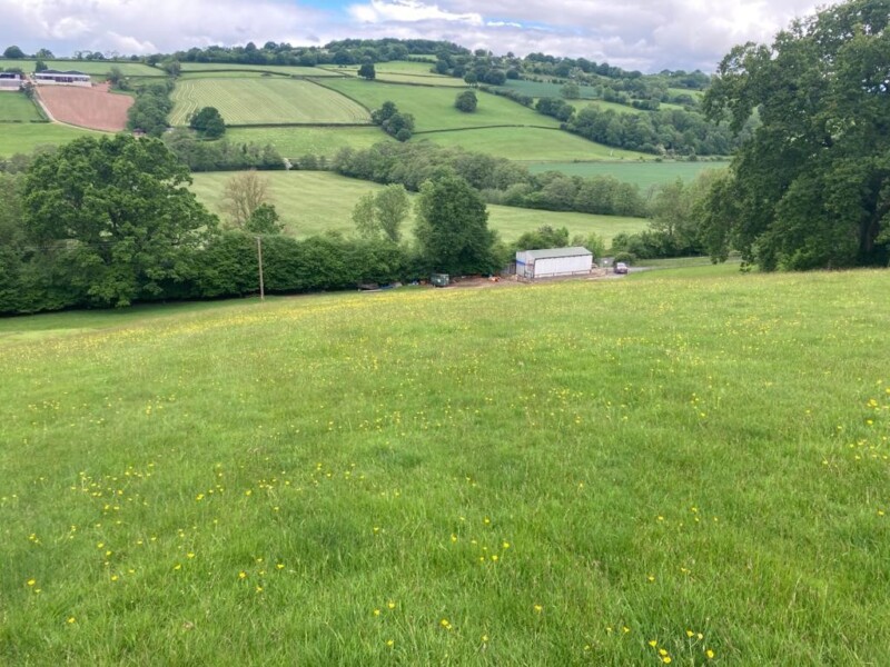 Land at Little Goytre Farm, Pandy, Abergavenny, NP7 8EB Williams