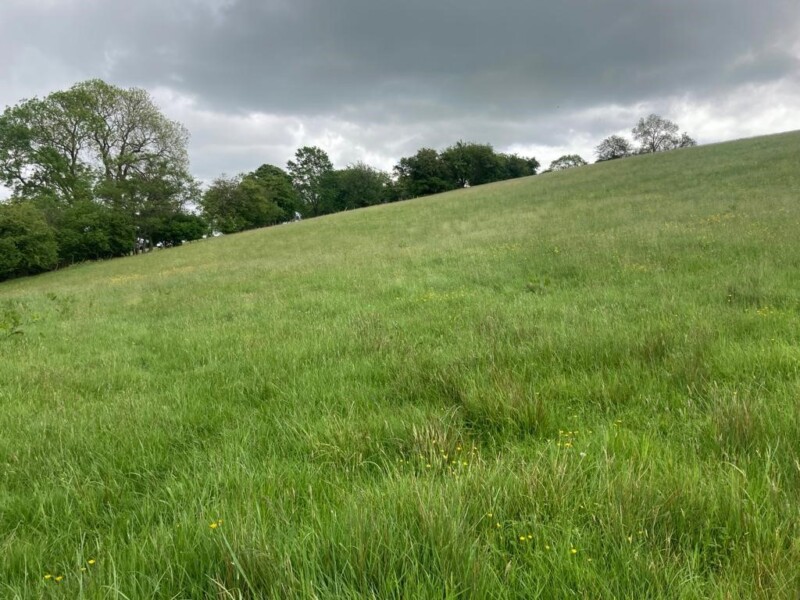 Land at Little Goytre Farm, Pandy, Abergavenny, NP7 8EB Williams