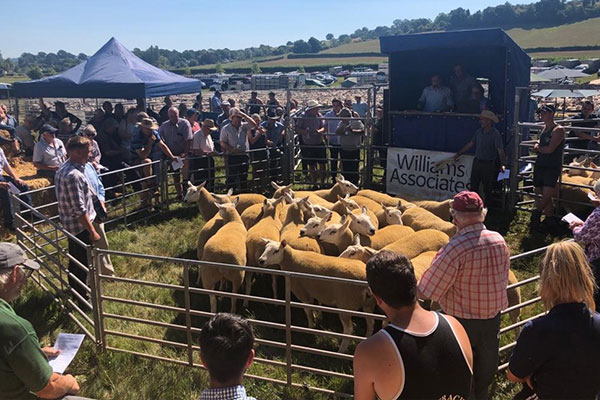 Livestock and Machinery Sales