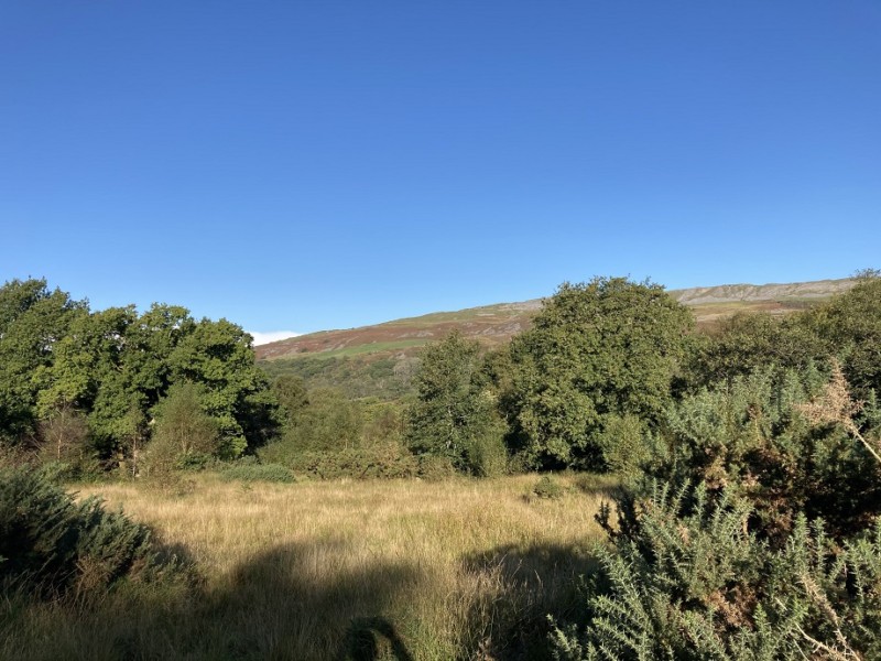 Amenity Land at Pen Y Cae, Swansea Williams Associates